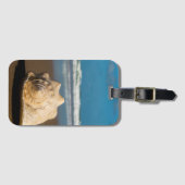 Toekomstvak Bagagelabel (Voorkant (horizontaal))