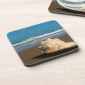 Toekomstvak Bier Onderzetter (Linkerzijde)