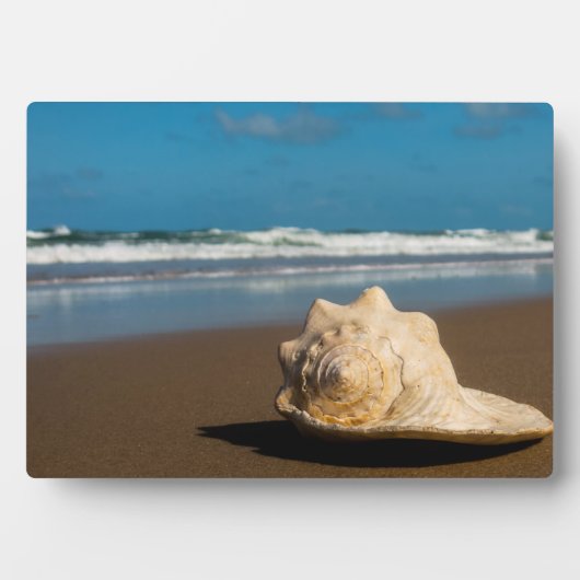 Toekomstvak Fotoplaat (voorkant)