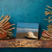 Toekomstvak Fotoplaat (Zijkant)