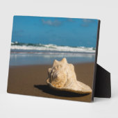 Toekomstvak Fotoplaat (Zijkant)