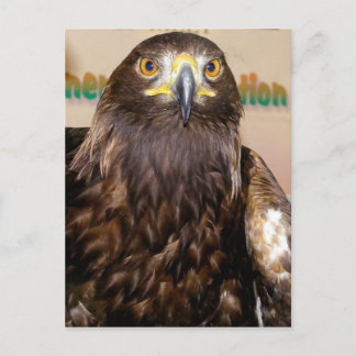 Toelating en parkeren zijn vrij! Kom op zondag! Briefkaart