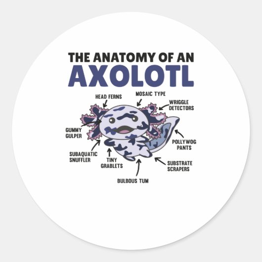 Toelichting bij mozaïekassen van een Axolotl Ronde Sticker (Voorkant)
