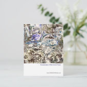 Toelichting Briefkaart (Staand voorkant)