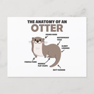 Toelichting ter vervanging van een otter briefkaart
