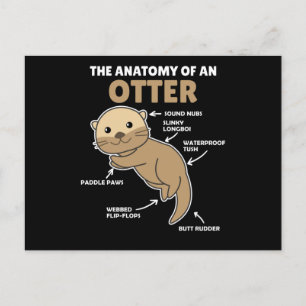 Toelichting ter vervanging van een otter briefkaart
