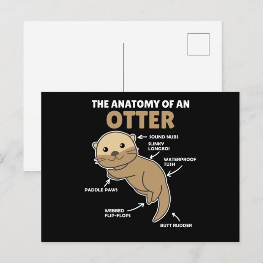 Toelichting ter vervanging van een otter briefkaart (Voorkant / Achterkant)