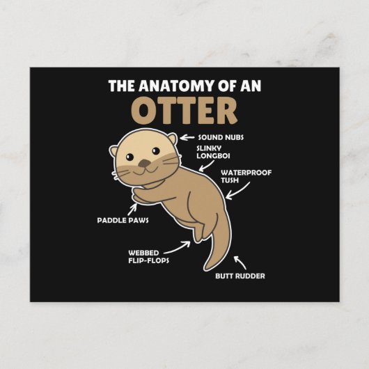 Toelichting ter vervanging van een otter briefkaart (Voorkant)