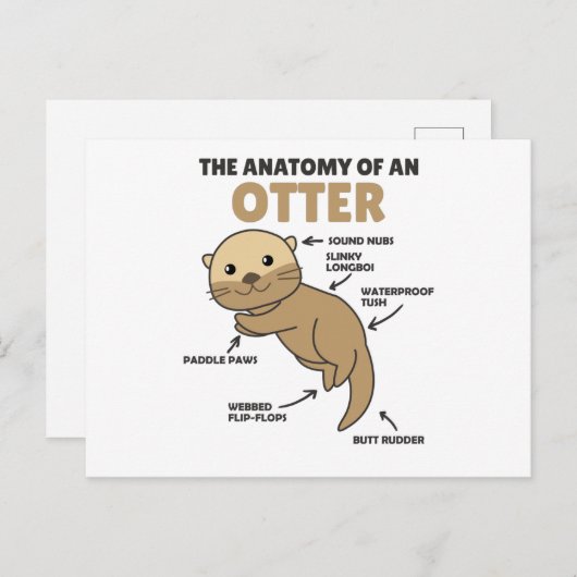 Toelichting ter vervanging van een otter briefkaart (Voorkant / Achterkant)