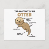 Toelichting ter vervanging van een otter briefkaart (Voorkant)
