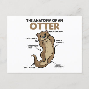 Toelichting ter vervanging van een otter briefkaart