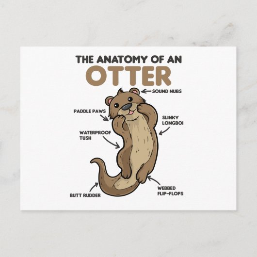 Toelichting ter vervanging van een otter briefkaart (Voorkant)