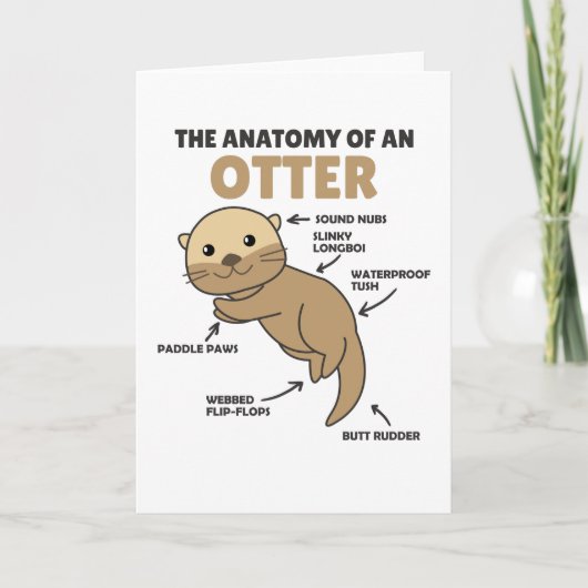 Toelichting ter vervanging van een otter kaart (Voorkant)