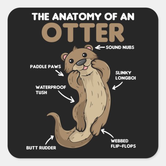 Toelichting ter vervanging van een otter vierkante sticker (Voorkant)