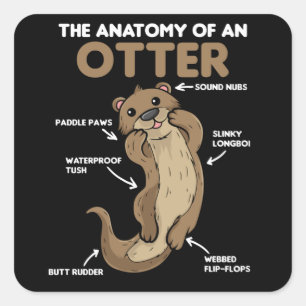 Toelichting ter vervanging van een otter vierkante sticker