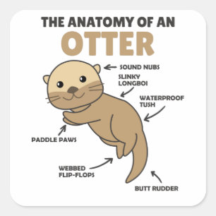 Toelichting ter vervanging van een otter vierkante sticker