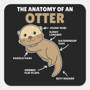 Toelichting ter vervanging van een otter vierkante sticker