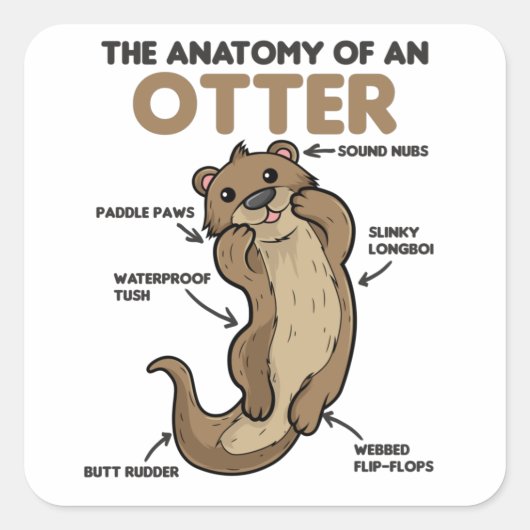 Toelichting ter vervanging van een otter vierkante sticker (Voorkant)