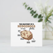 Toelichting van een egel in de Cute Egel: Anatomie Briefkaart (Staand voorkant)