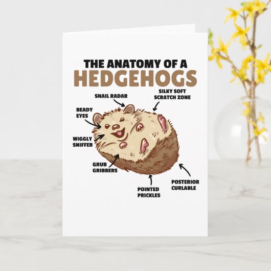 Toelichting van een egel in de Cute Egel: Anatomie Kaart (Gele Bloem)