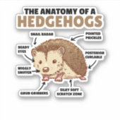 Toelichting van een egel in de Cute Egel: Anatomie Sticker (Voorkant)