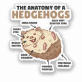 Toelichting van een egel in de Cute Egel: Anatomie Sticker (Voorkant)