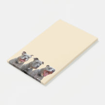 Toelichting voor toonaangevende persoonlijkheden