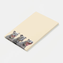 Toelichting voor toonaangevende persoonlijkheden post-it® notes