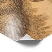 Toen ging de Tabby ver, en verder dan ver Foto Afdruk (Hoek)