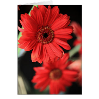 Toen ik een affaire had