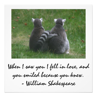 Toen ik je zag, werd ik verliefd - Lemur-liefde Foto Afdruk
