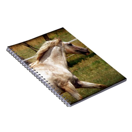 Toepassen Notitieboek (Rechterzijde)