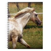 Toepassen Notitieboek (Voorkant)