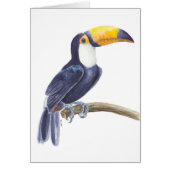 Toerasbare tropische vogel (Voorkant)