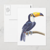 Toerasbare tropische vogel briefkaart (Voorkant / Achterkant)