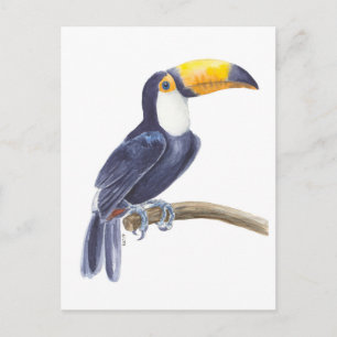 Toerasbare tropische vogel briefkaart
