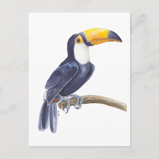 Toerasbare tropische vogel briefkaart (Voorkant)