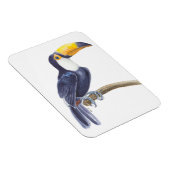 Toerasbare tropische vogel magneet (Rechterzijde)