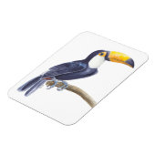 Toerasbare tropische vogel magneet (Linkerzijde)