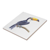 Toerasbare tropische vogel tegeltje (Zijkant)