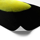 Toerische exotische tropische foto van exotische d poster (Hoek)