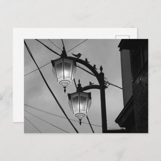 Toerisme in Tokio: Ohanajaya Briefkaart (Voorkant / Achterkant)