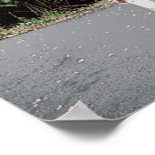 Toerist in het Shirt Hawaiian Poster (Hoek)