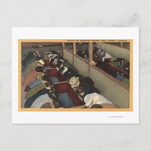 Toeristen De onderzeese tuinen bekijken Briefkaart (Voorkant)