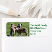 Toeristen Etiket (Insitu)