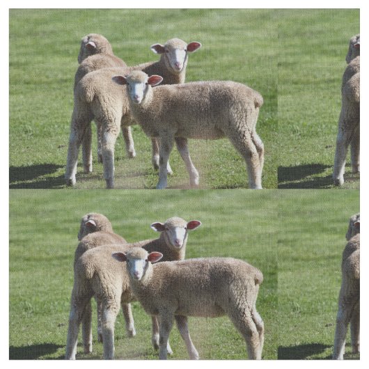 Toeristen Stof (Close Up)