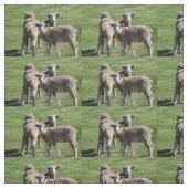 Toeristen Stof (Swatch)