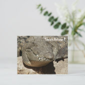 Toeristen Welkom!! - Krokodil - Briefkaart (Staand voorkant)