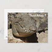 Toeristen Welkom!! - Krokodil - Briefkaart (Voorkant / Achterkant)