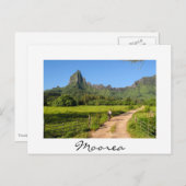 Toeristische cyclus op tropisch Moorea wit briefka Briefkaart (Voorkant / Achterkant)